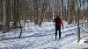How To Cross Country Ski A Beginner S Guide