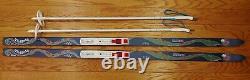Ll Bean cross country Junior Snosnake 150 cm skis bindings and poles pre-owned
